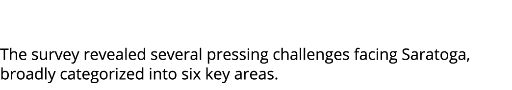  The survey revealed several pressing challenges facing Saratoga, broadly categorized into six key areas. 