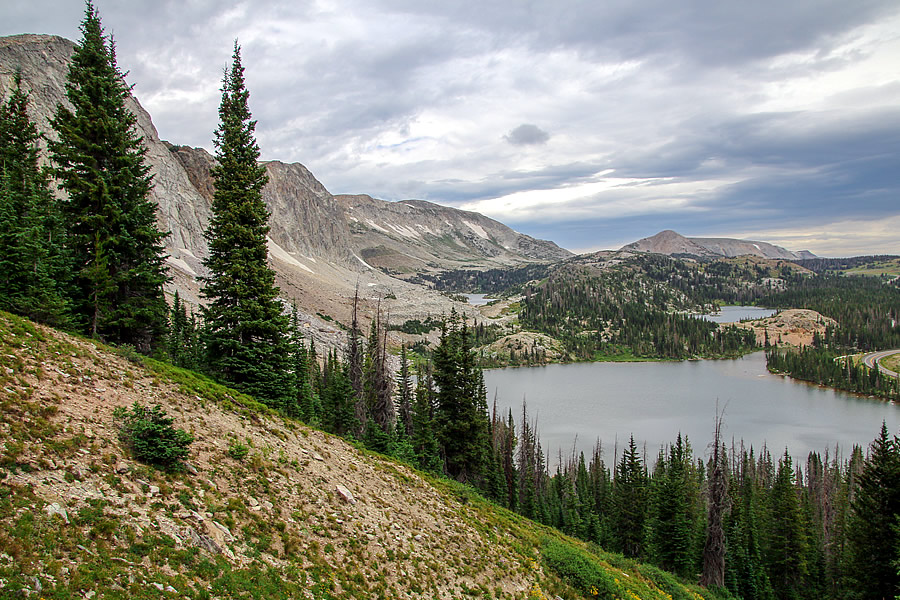 Medicine Bow National Forest