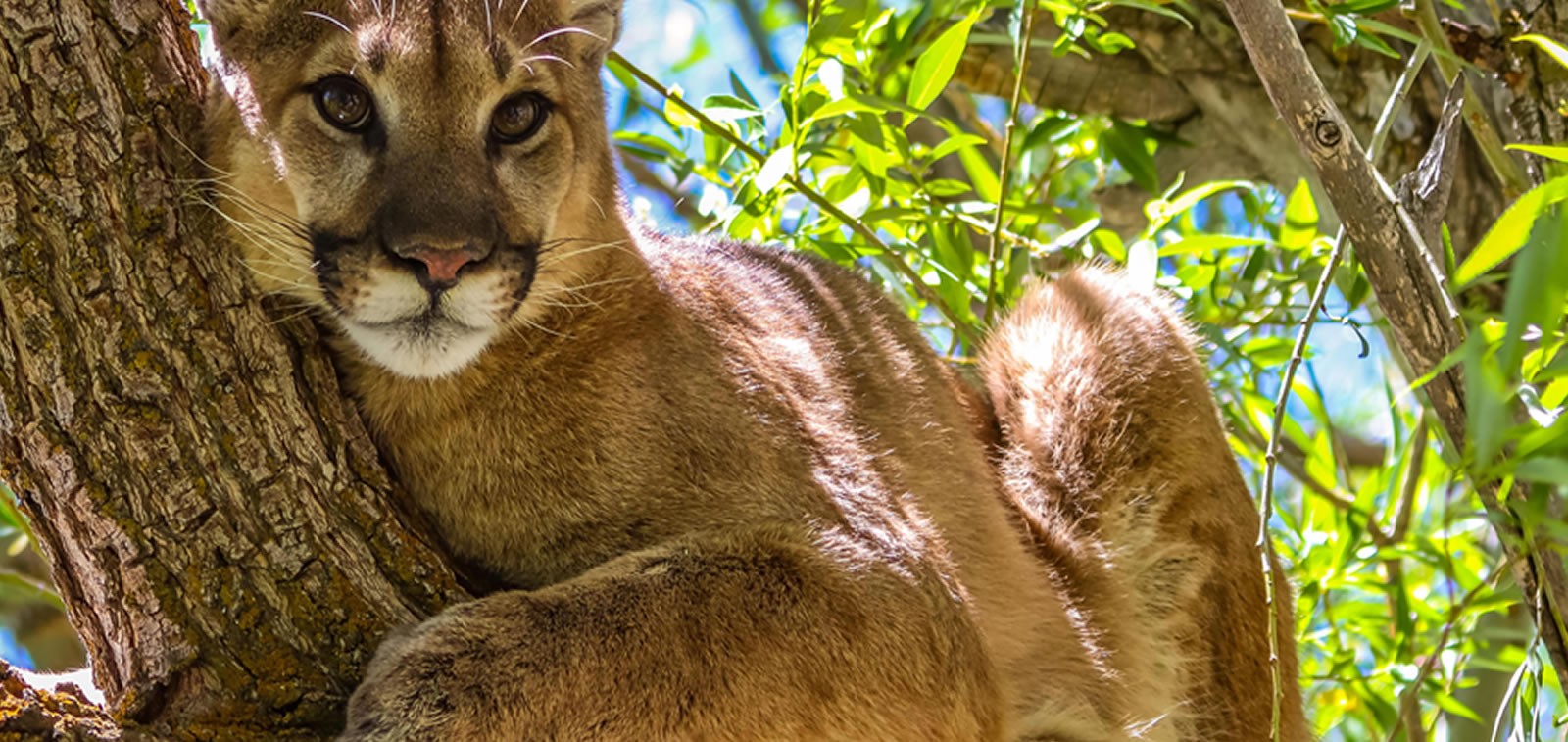 Discover Carbon County, Wyoming Seminoe State Park