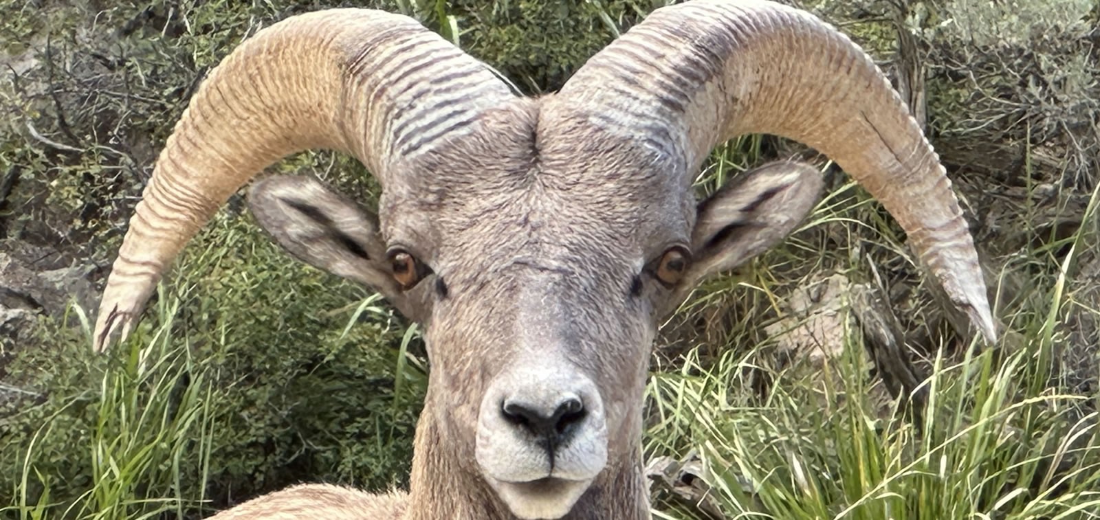 Discover Carbon County, Wyoming Seminoe State Park